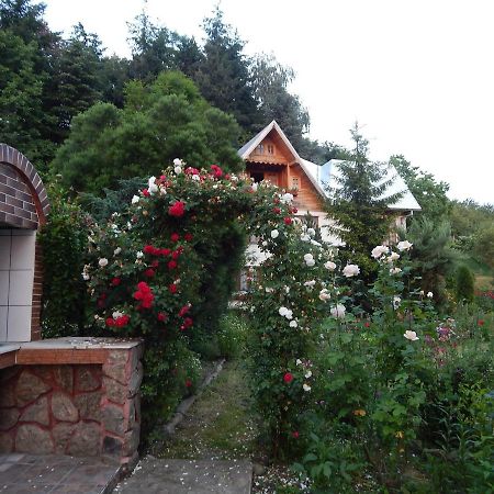 Pensiunea Paradis Borobanesti Exterior photo