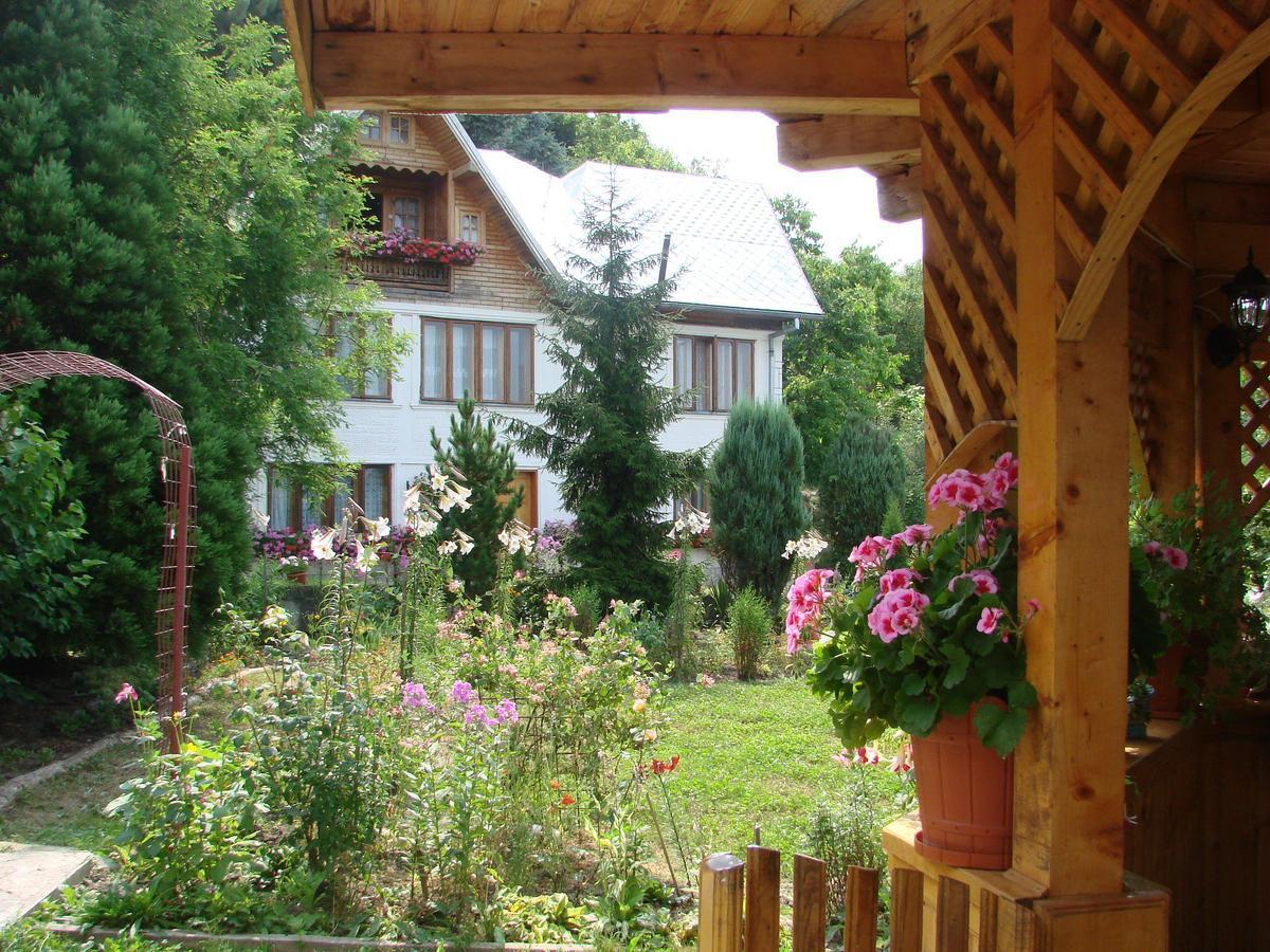 Pensiunea Paradis Borobanesti Exterior photo