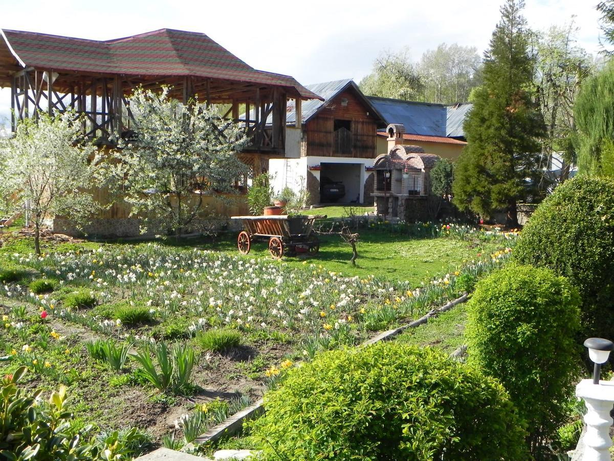 Pensiunea Paradis Borobanesti Exterior photo